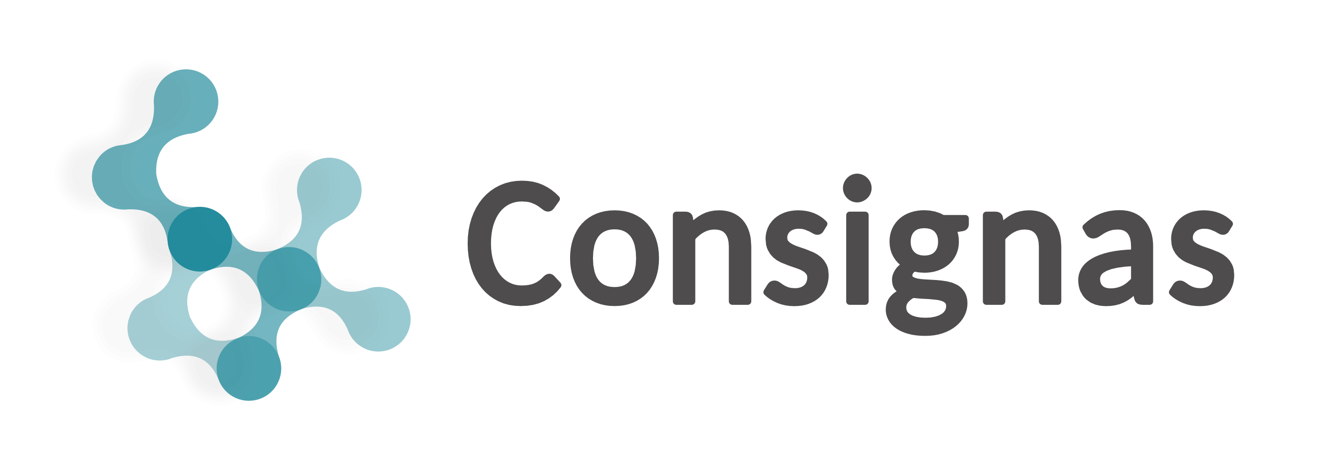 CONSIGNAS GmbH